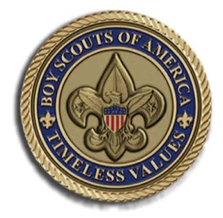 Boy Scouts of America bronze emblem.